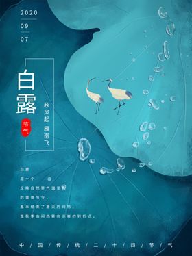 白露海报
