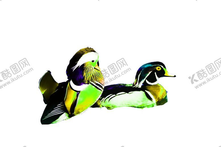 编号：59342009280319063795【酷图网】源文件下载-浪漫素材