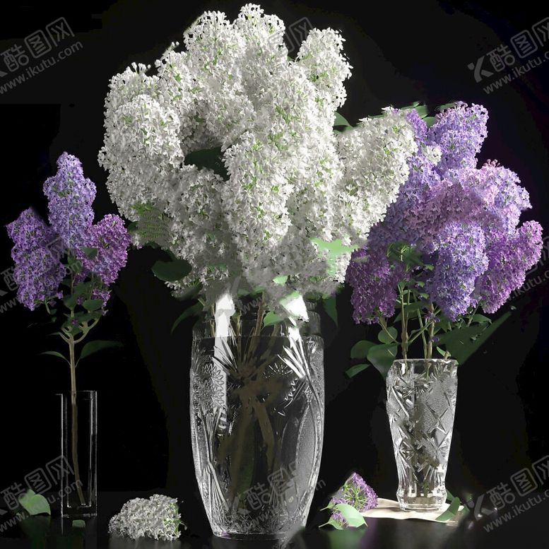 编号：64117512111704249364【酷图网】源文件下载-花卉3D模型下载