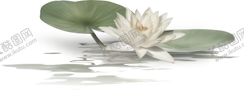 编号：60774810081348205228【酷图网】源文件下载-中国风荷叶荷花绘画