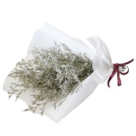免抠背景干花枯花