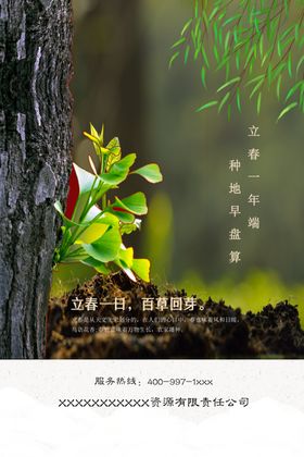 立春节气发芽雨农业天