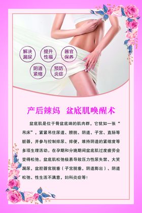 盆骨与盆底肌