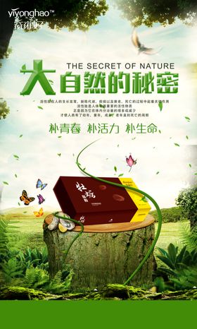 理想鸿鹰标志理想鸿鹰产品