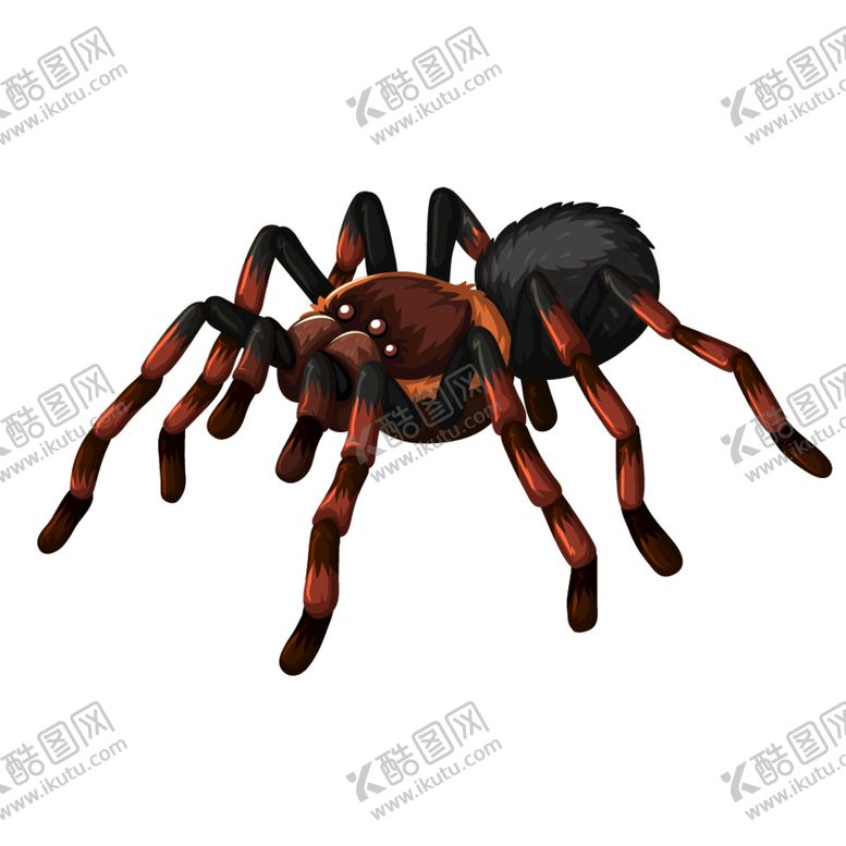 编号：82098110302156175641【酷图网】源文件下载-手绘蜘蛛