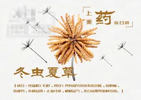 冬虫夏草