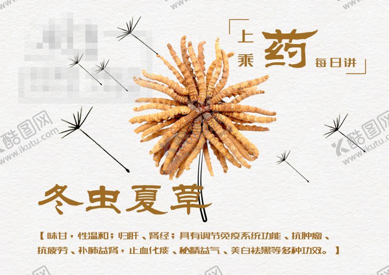 编号：72682310291150357462【酷图网】源文件下载-冬虫夏草
