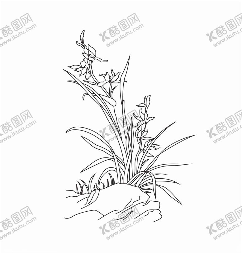 编号：26907309261411012082【酷图网】源文件下载-白描兰花