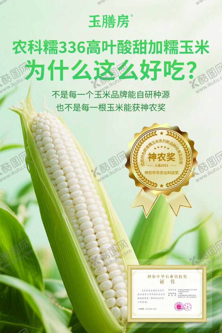 编号：28985404021425135623【酷图网】源文件下载-农科院甜加糯玉米