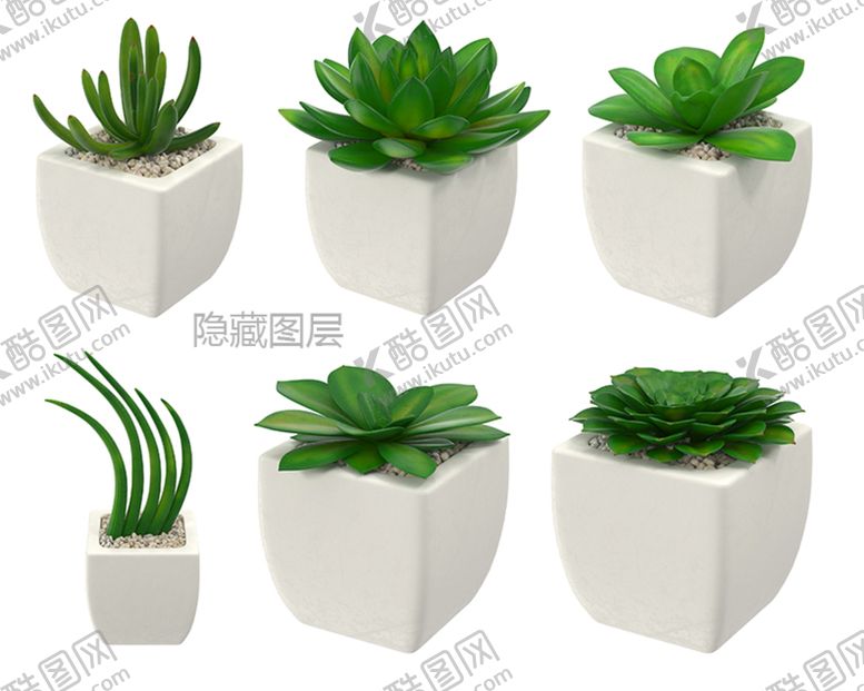 编号：63892310181140356635【酷图网】源文件下载-多肉植物盆栽