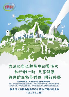 金典海报4