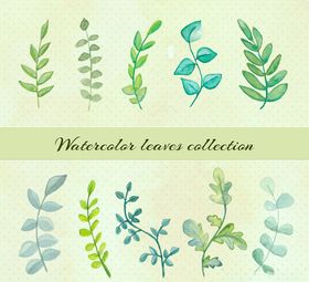 手绘叶子设计矢量素材