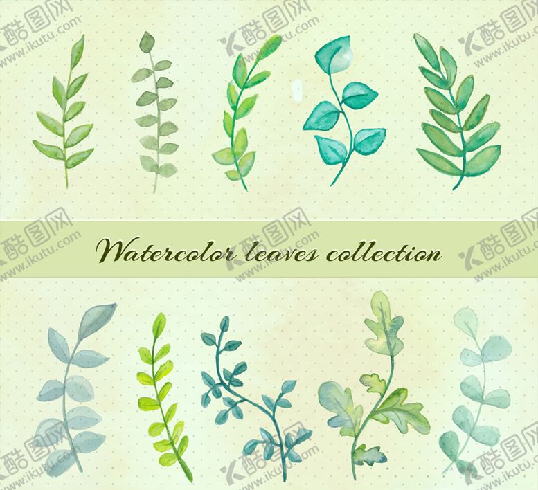 编号：56816510030719345149【酷图网】源文件下载-手绘叶子设计矢量素材