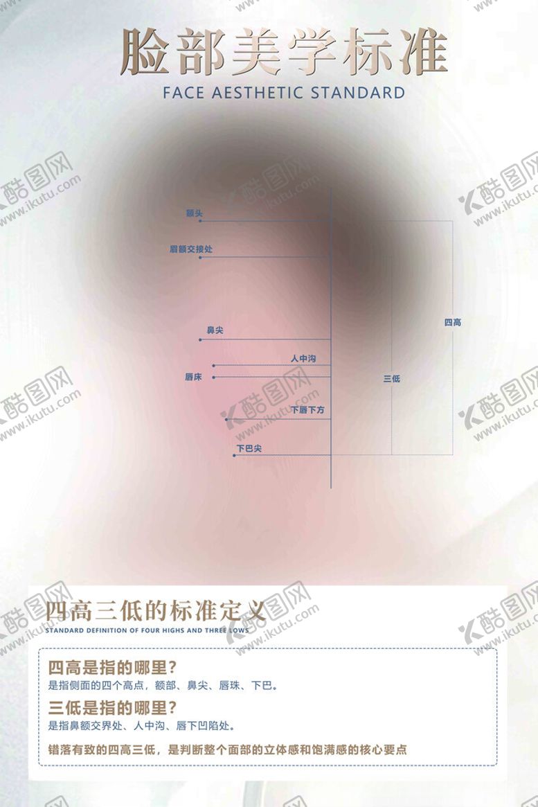 编号：61682401301227274917【酷图网】源文件下载-美容脸部美学标准