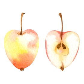 水彩创意插画水果