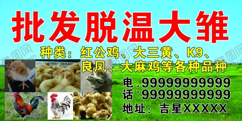 编号：37599505102038435294【酷图网】源文件下载-批发脱温大雏