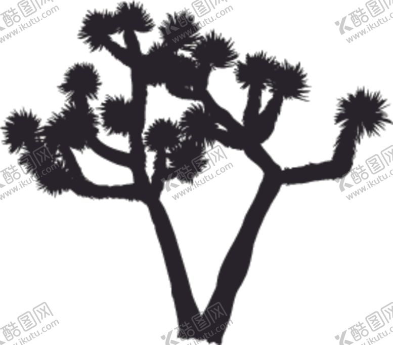 编号：74901510250613348211【酷图网】源文件下载-植物系列约书亚树