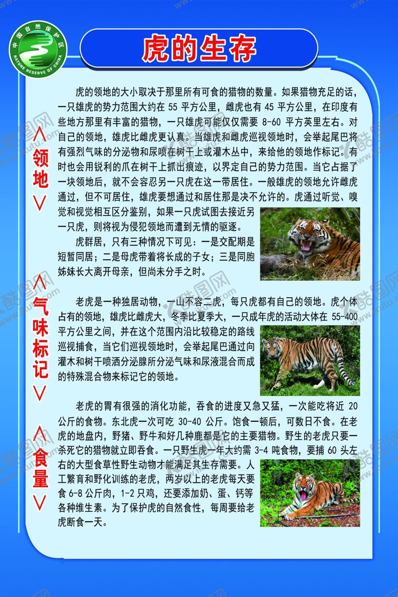 编号：38832104262312152394【酷图网】源文件下载-虎的生存