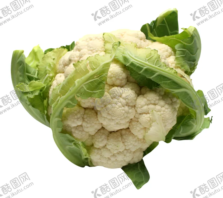 编号：64334805110117066549【酷图网】源文件下载-菜花