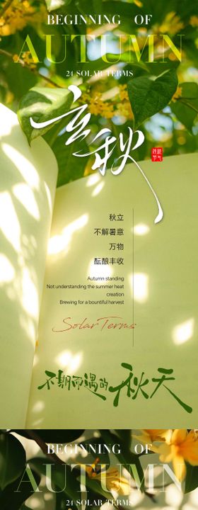 立秋绿植与文字意境节气地产海报