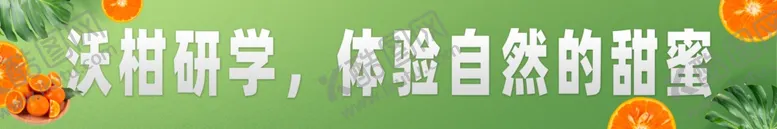 编号：84657712211044221440【酷图网】源文件下载-沃柑研学横幅标语