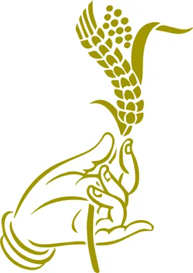 麦穗线条抽象底纹边框