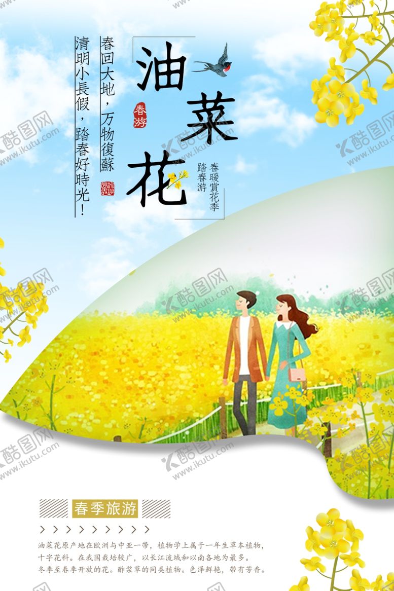 编号：84909901172356598001【酷图网】源文件下载-油菜花开