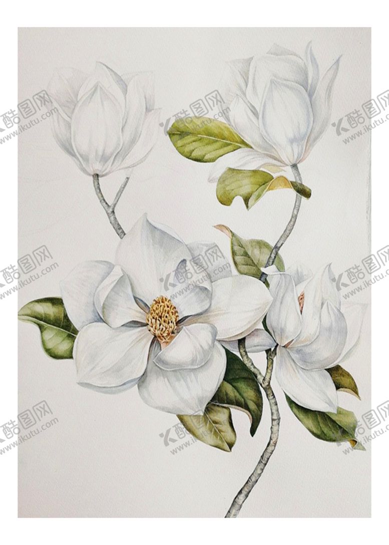 编号：17485409261134286930【酷图网】源文件下载-现代简约花卉单幅客厅装饰画