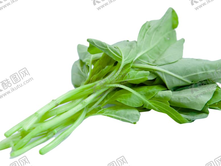 编号：58448705061631069157【酷图网】源文件下载-菠菜