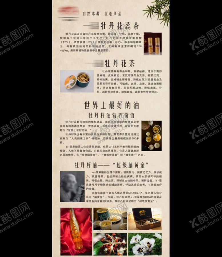 编号：18931610210355496842【酷图网】源文件下载-茶油展架