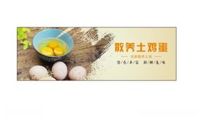 农家土鸡蛋