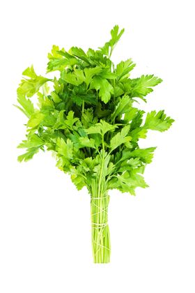 芹菜