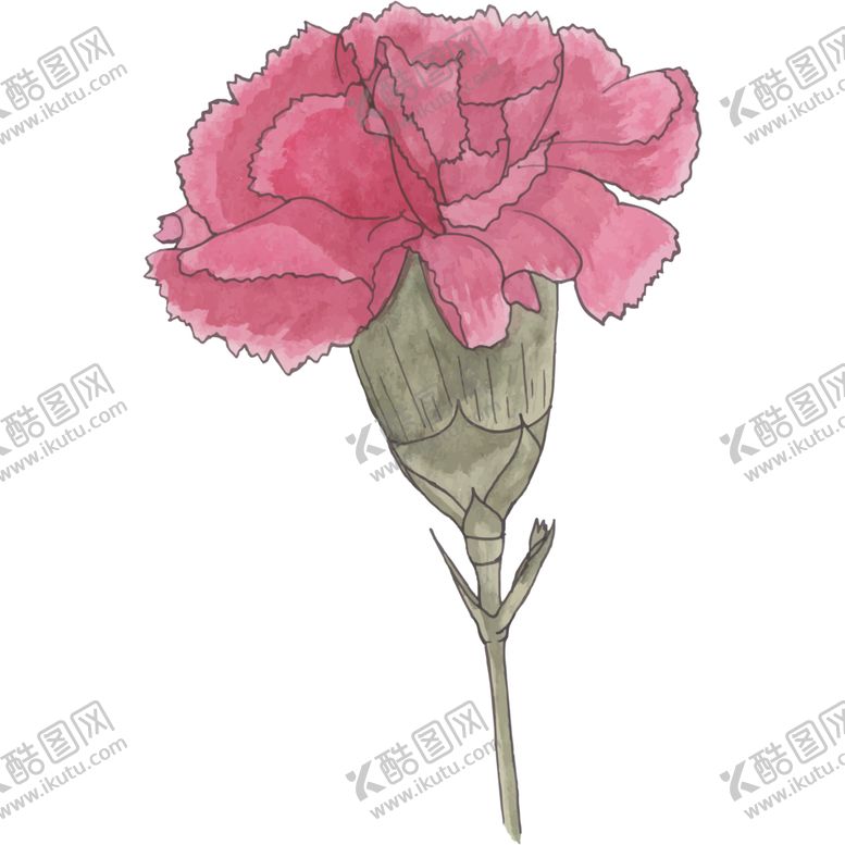 编号：38029705091417518998【酷图网】源文件下载-花图片