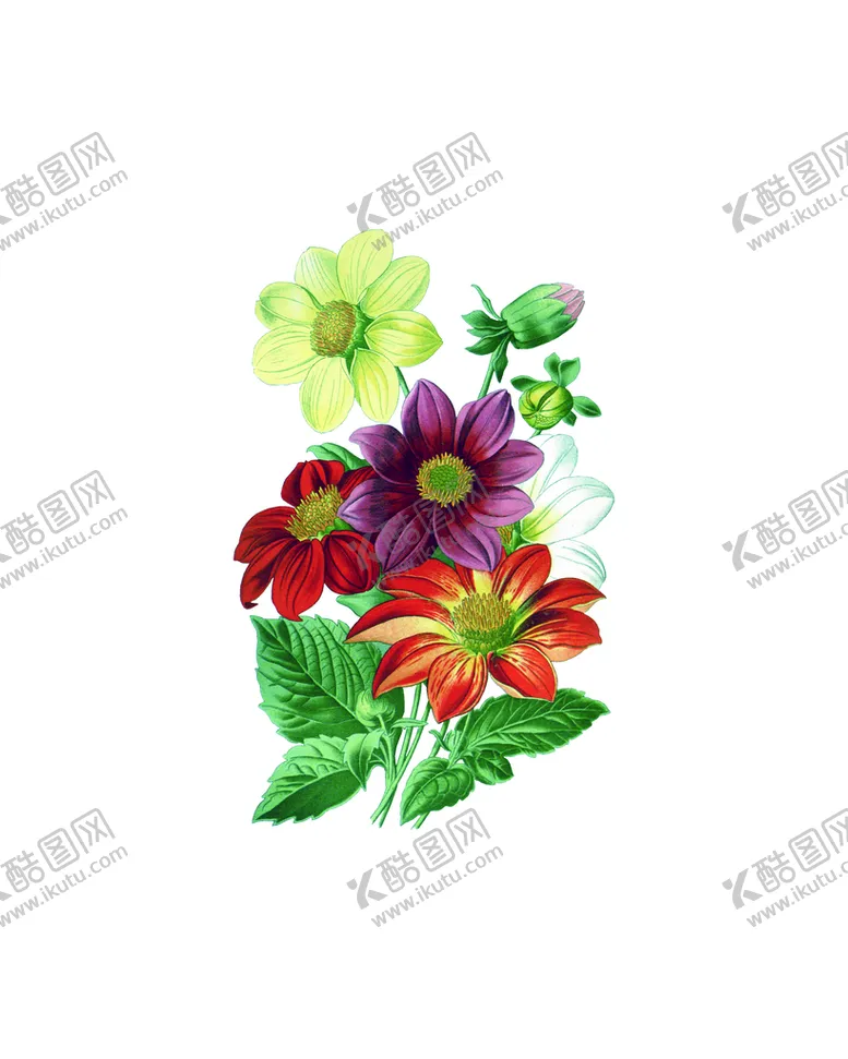 编号：45091309191133568509【酷图网】源文件下载- 数码印花抽象花