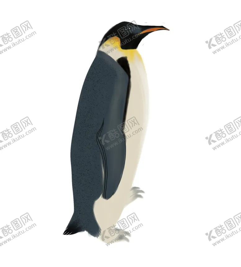 编号：93075404211854261338【酷图网】源文件下载-企鹅插画