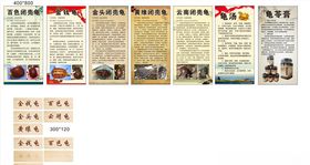 龟类介绍