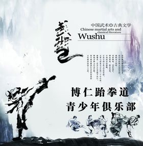 跆拳道海报