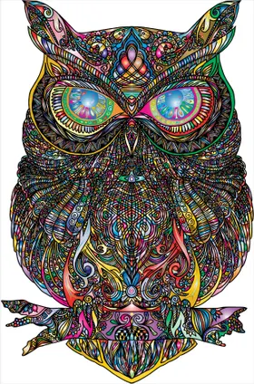 彩色花纹猫头鹰艺术插画