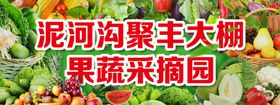 果蔬采摘园
