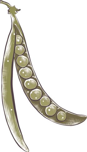 彩绘蔬菜