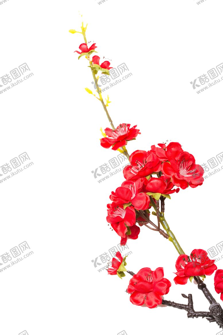 编号：42081210170538483157【酷图网】源文件下载-中国风水墨梅