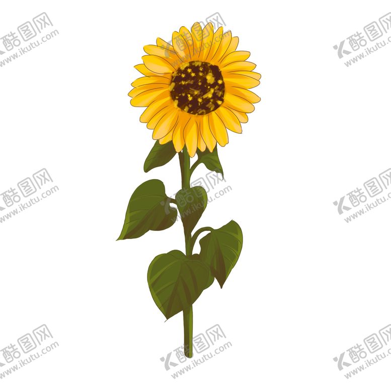 编号：35106210031520167046【酷图网】源文件下载-水彩花卉