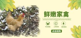鲜嫩家禽