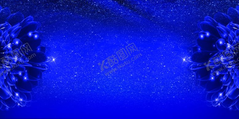 编号：62646806240237042941【酷图网】源文件下载-深蓝星空花背景