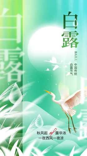 二十四节气白露海报24为霜