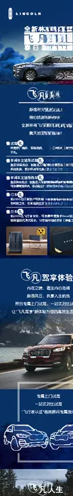 飞凡头像