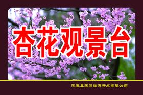 标识设计