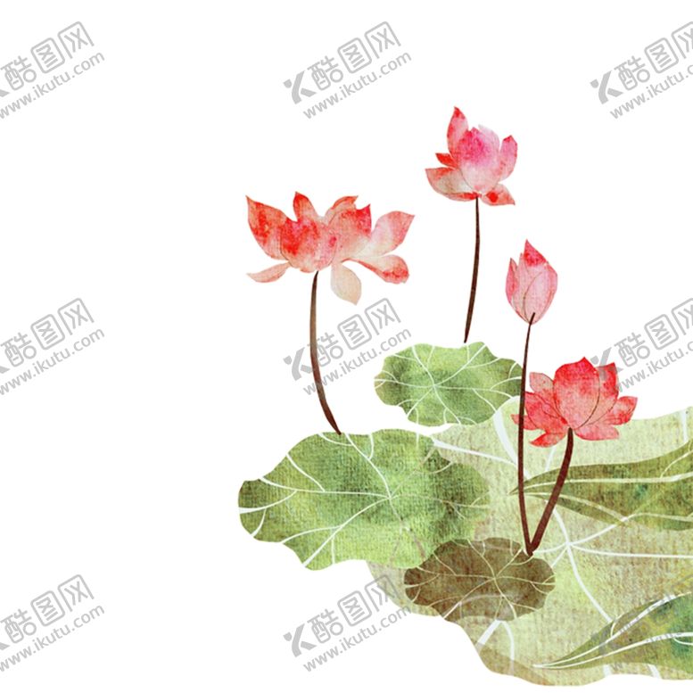 编号：35500201190244183048【酷图网】源文件下载-荷花素材