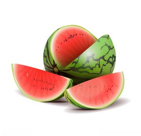 夏日西瓜矢量图