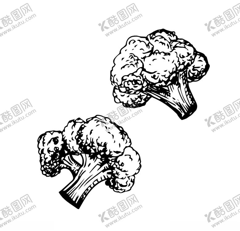 编号：42669410211841253288【酷图网】源文件下载-蔬菜